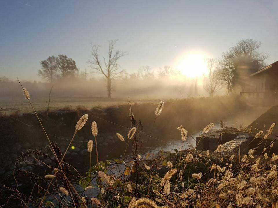 Agriturismo Helianthus โอเลจโจ ภายนอก รูปภาพ