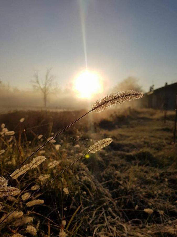 Agriturismo Helianthus โอเลจโจ ภายนอก รูปภาพ