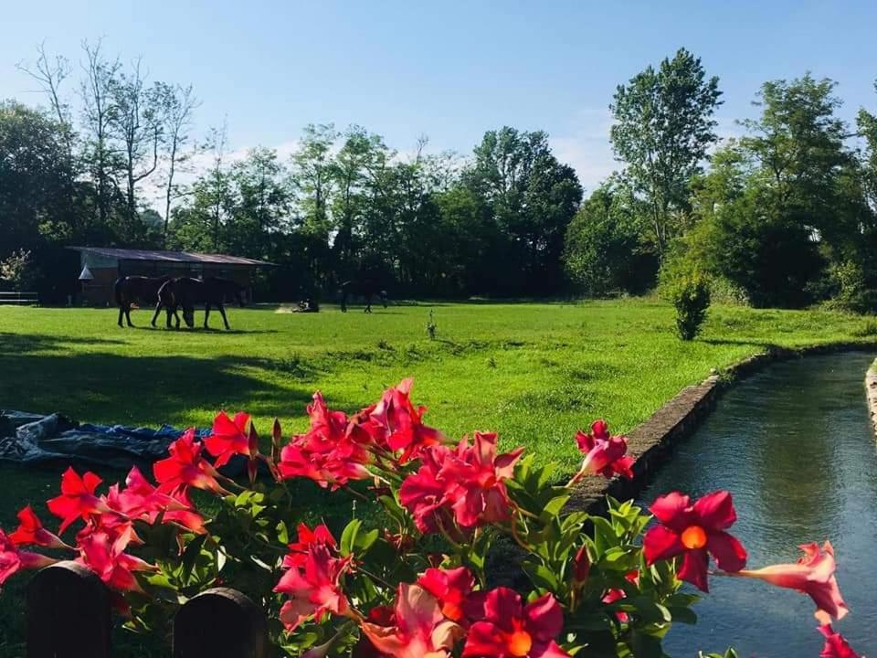 Agriturismo Helianthus โอเลจโจ ภายนอก รูปภาพ