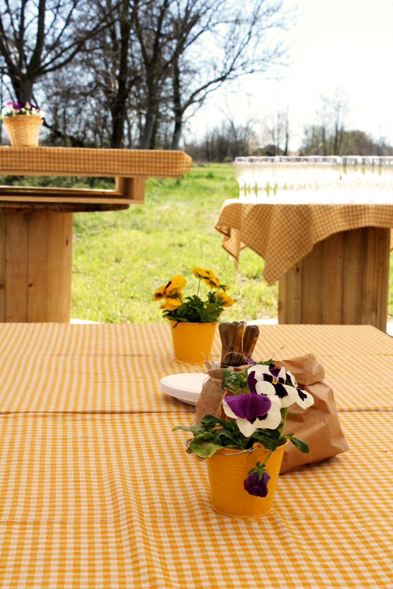 Agriturismo Helianthus โอเลจโจ ภายนอก รูปภาพ