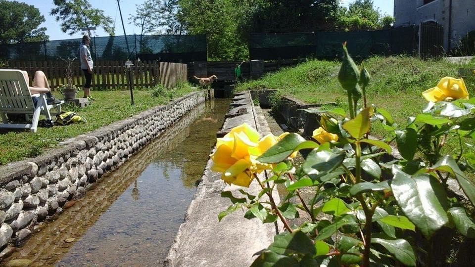 Agriturismo Helianthus โอเลจโจ ภายนอก รูปภาพ