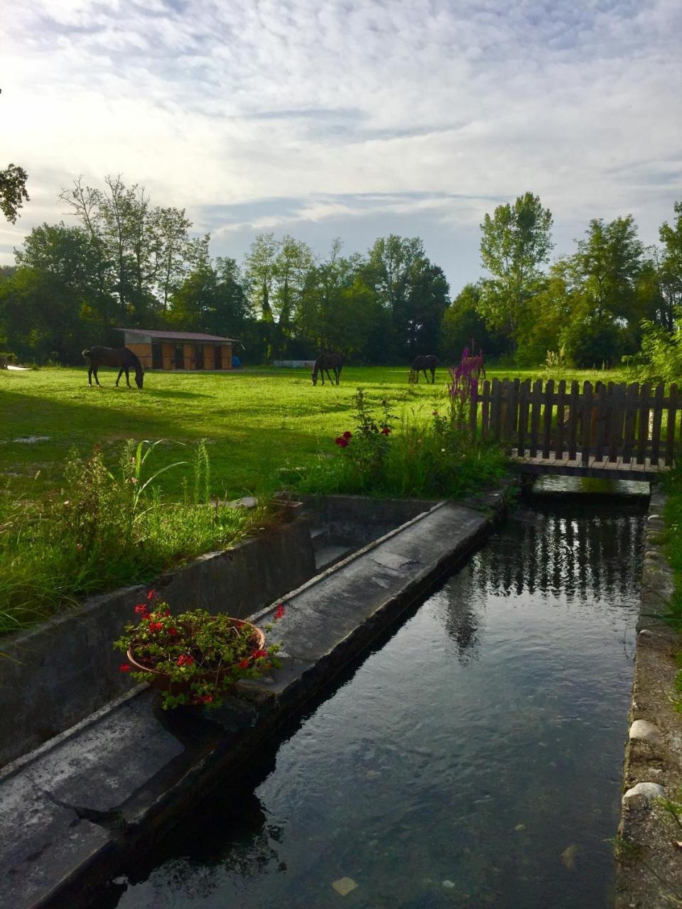 Agriturismo Helianthus โอเลจโจ ภายนอก รูปภาพ